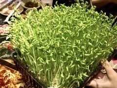 -蜀大侠火锅(四川北路店)