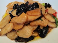 -浙江大学医学院附属第二医院(解放路院区)