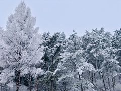 -天女山森林公园