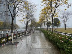 -洲头咀公园