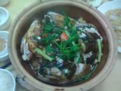 沙湾鱼头煲-广宁炭炉鸡煲·富临门饭店