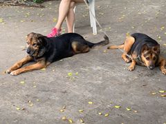 -胜记士多小食店