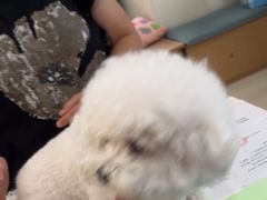 -美联众合动物医院·24h京西诊疗中心