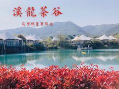 -帐篷客·溪龙茶谷度假酒店