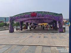 -徐州乐园加勒比水世界