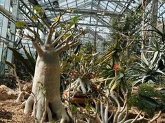 -国家植物园南园