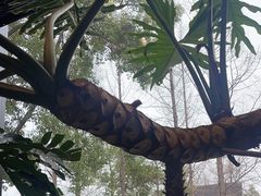 -J Create城市露营咖啡·简餐·宠物(上海动物园店)