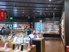 -sundanpulse顺电·脉(海岸城购物中心店)