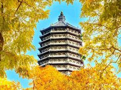 -玲珑塔公园