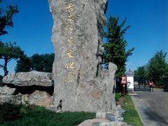 -中国古老月季文化园