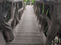 -南山植物园