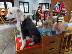 -太阳岛度假酒店