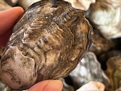 -斯普汇生蚝牛排馆(中骏世界城店)