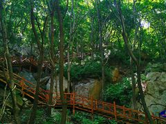 -大岭沟猕猴桃谷风景区