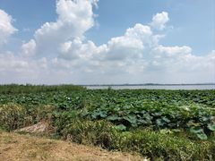 -七的湖·晚芳亭·阳澄湖农家菜·大闸蟹(莲花岛店)