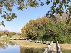 -长广溪湿地公园