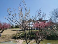 -径山花海
