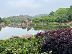 -白马涧龙池景区