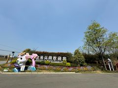 -空港花田景区