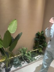 -丽都整形美容医院·全国连锁旗舰店