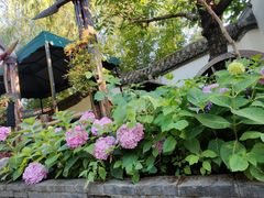 -慢丽江·云南野生菌土鸡锅(西山店)