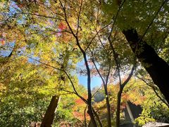 -九曜山