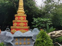 -瑞丽独树成林风景区