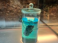 -青岛葡萄酒博物馆