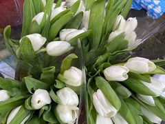 -循礼门鲜花花市(武汉循礼门店)