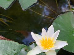 -上海滨江森林公园