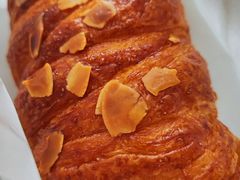 -BLACKSWAN黑天鹅(环球店)