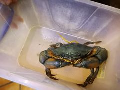 蟹-石头咕(黄岐店)