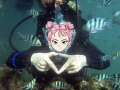 -亚龙湾海底世界