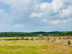 -塞罕坝国家级自然保护区