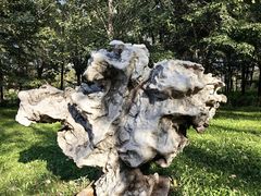 -抚顺煤矿博物馆