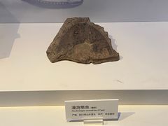 -重庆自然博物馆(新馆)