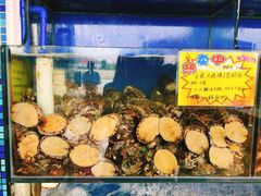 -蚝专家(北滘店)