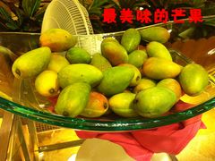 -三亚亚龙湾凯莱仙人掌度假酒店