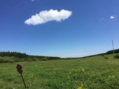 -塞罕坝国家级自然保护区