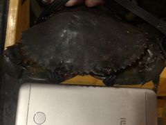 -三妹小龙虾·黄油蟹(华侨城总店)