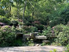 -杭州半山国家森林公园