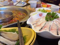 -一斗火锅·招财羊毛肚(北温泉九号店)