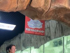 -华夏文旅西安度假区