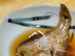 -镹·鱼料理  国产鱼使用店