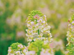 -中国天府农业博览园