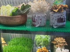 -烹然四季椰子鸡火锅(团结湖总店)