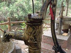 -广州白江湖森林公园