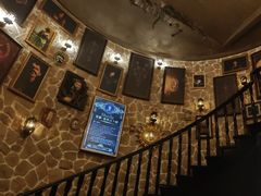 -雪灵魔法世界SHELLY’S TAROT(大良桂畔里店)