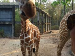 -清迈夜间动物园