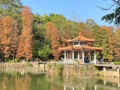 -深圳仙湖植物园